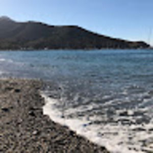 Meet your Posher, Tom